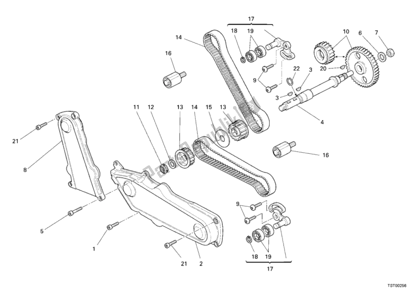 Todas las partes para Correa Dentada de Ducati Monster S2R 800 2006